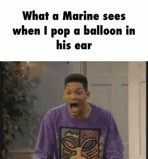 1652643322697.gif