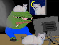 78626-265-819.png