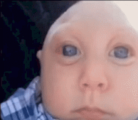 15970808846560.gif