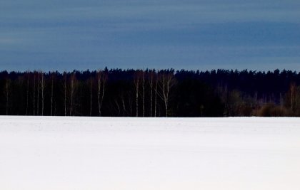 eesti.jpg