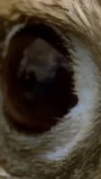 0e7676949ff4f36d.mp4