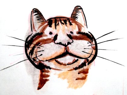 meme-cat.jpg