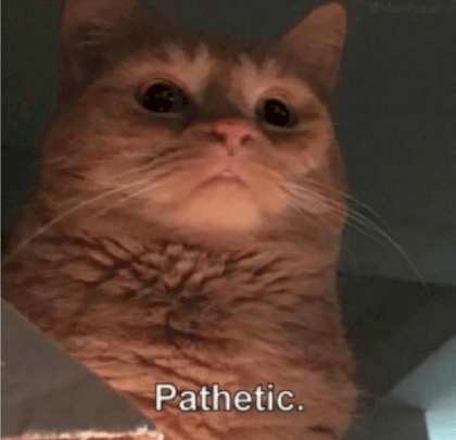 kot pathetic.png