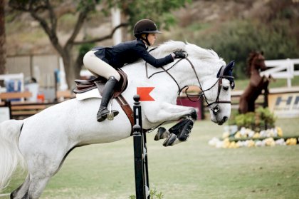 equestrian-jump-pexels.jpg