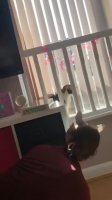 awZ6GbB_460svav1.mp4