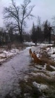VID_20220218_093009.mp4