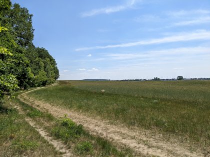 PXL_20220605_113935771.jpg