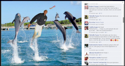 dolphins.png