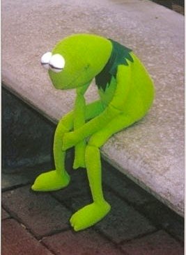 12076796.jpg