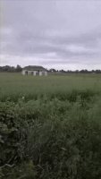 1685989496584293.webm