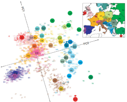 Map-of-European-populations-genetic-distance-with-a-map-of-Europe-From-Novembre-et-al.png