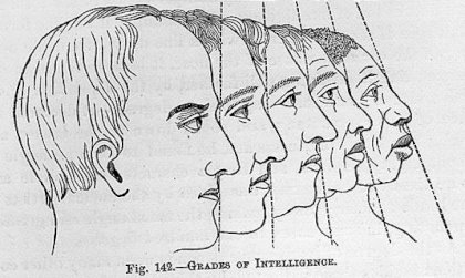 phrenology.jpg