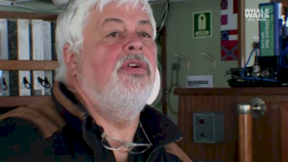 paul watson confederate flags.png