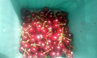 IMG_20201211_124425.jpg