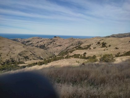 IMG_20210705_120653.jpg