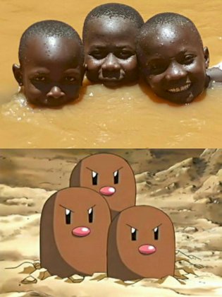 nigdri.jpg