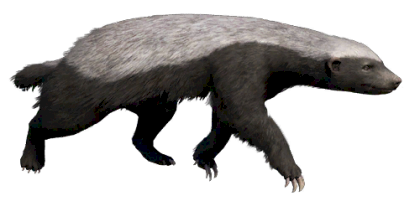 39DA1F72-DB38-4554-BAA9-C269B03596E9.png