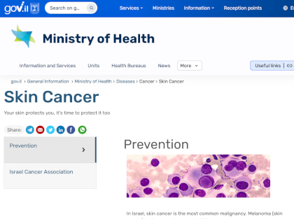 Screenshot 2023-08-24 at 11-44-38 Skin Cancer.png