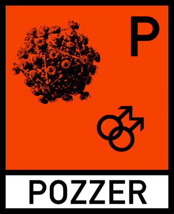 element pozzer.png