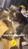 armrbnK_460svav1.mp4