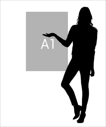 A1.jpg