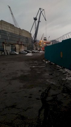 IMG_20200319_161637.jpg