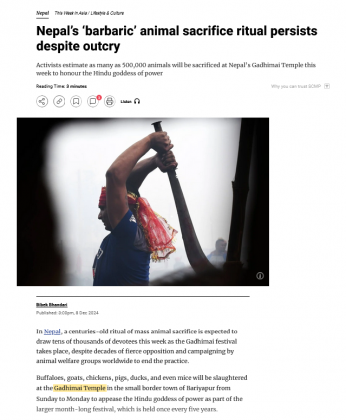 Screenshot 2024-12-08 at 21-18-03 Nepal’s ‘barbaric’ animal sacrifice ritual persists despite outcry South China Morning Post.png