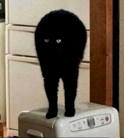1524893226105.png
