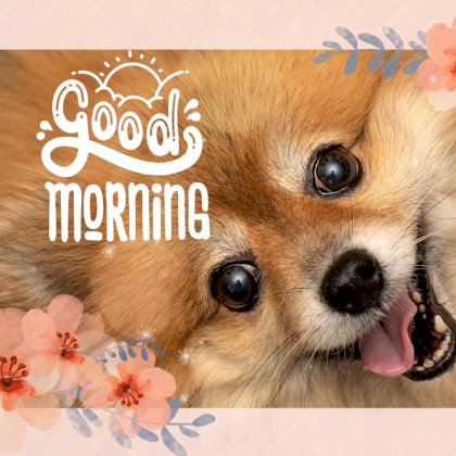 Cute-Good-Morning-Sunshine-Message-Image_06081019.jpg