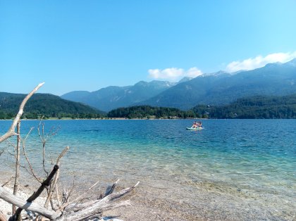 IMG_20220619_163235_7.jpg