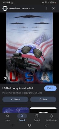 Screenshot_20250120_042533_Google.jpg