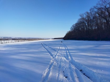 IMG_20220315_090319.jpg