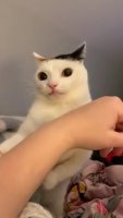 why_are_you_doing_This.mp4