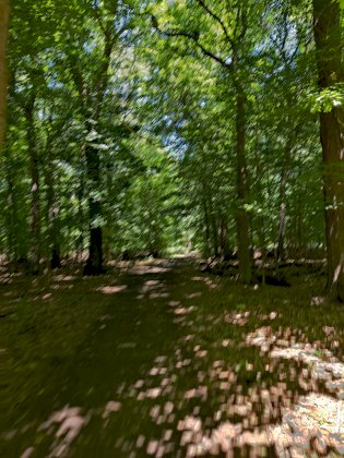 IMG_20220709_120943.jpg