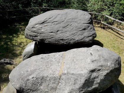 20220717_124830.jpg