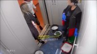 roosters_in_lift.mp4
