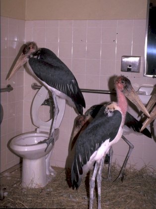 Herons-bathroom.jpg