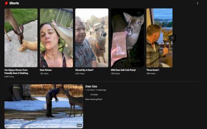 Screenshot 2024-04-27 at 05-55-03 deer kiss - YouTube.png