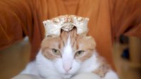 2chan.net (4).jpg