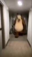 run.mp4