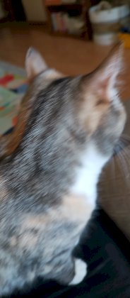 IMG_20230622_180222_758.jpg