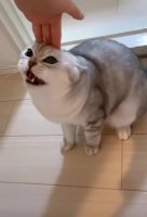 aNw28jw_460svvp9.webm