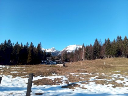 IMG_20230101_133541_9.jpg