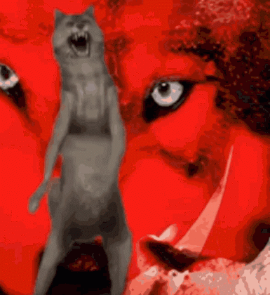 kurt-dans-eden-kurt.gif