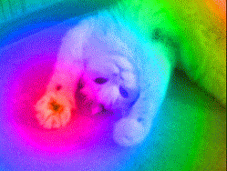 Tumblr_l_267368476963320.gif