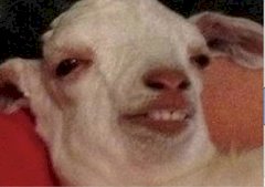 meh.jpg