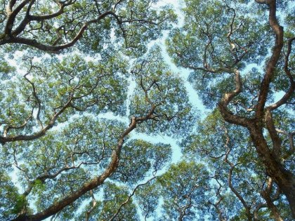 59929f4616406__880[1].jpg