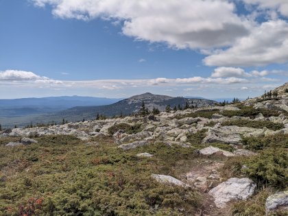 PXL_20210807_083307765.jpg