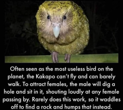 1745685083147-1.png