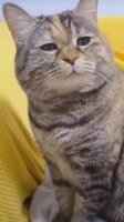 sad.webm